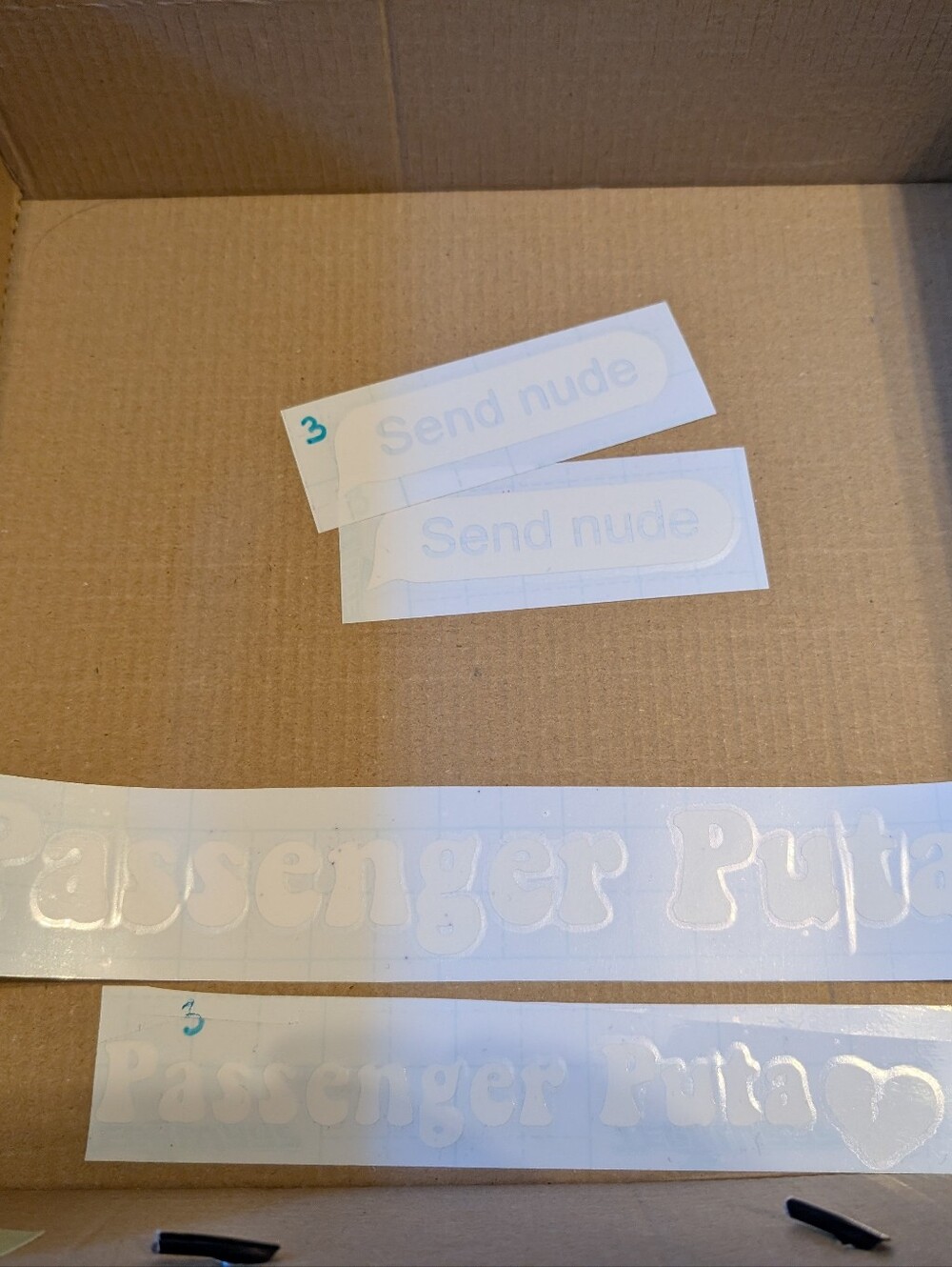 Decal "Passenger P" And "Sens N"